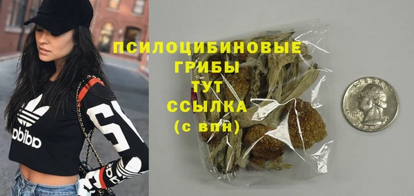 спиды Арсеньев