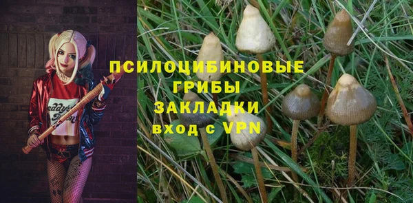 2c-b Армянск