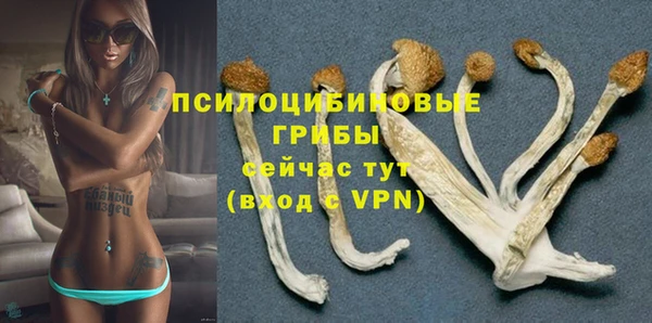 спиды Арсеньев