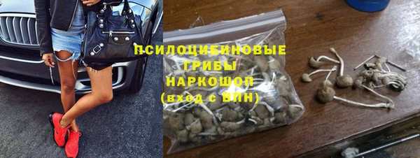 спиды Арсеньев
